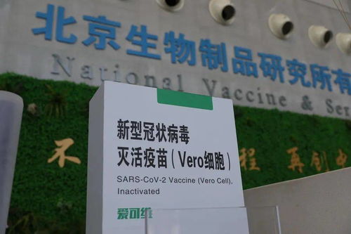 本土新增108例，防疫健康包與應對指南